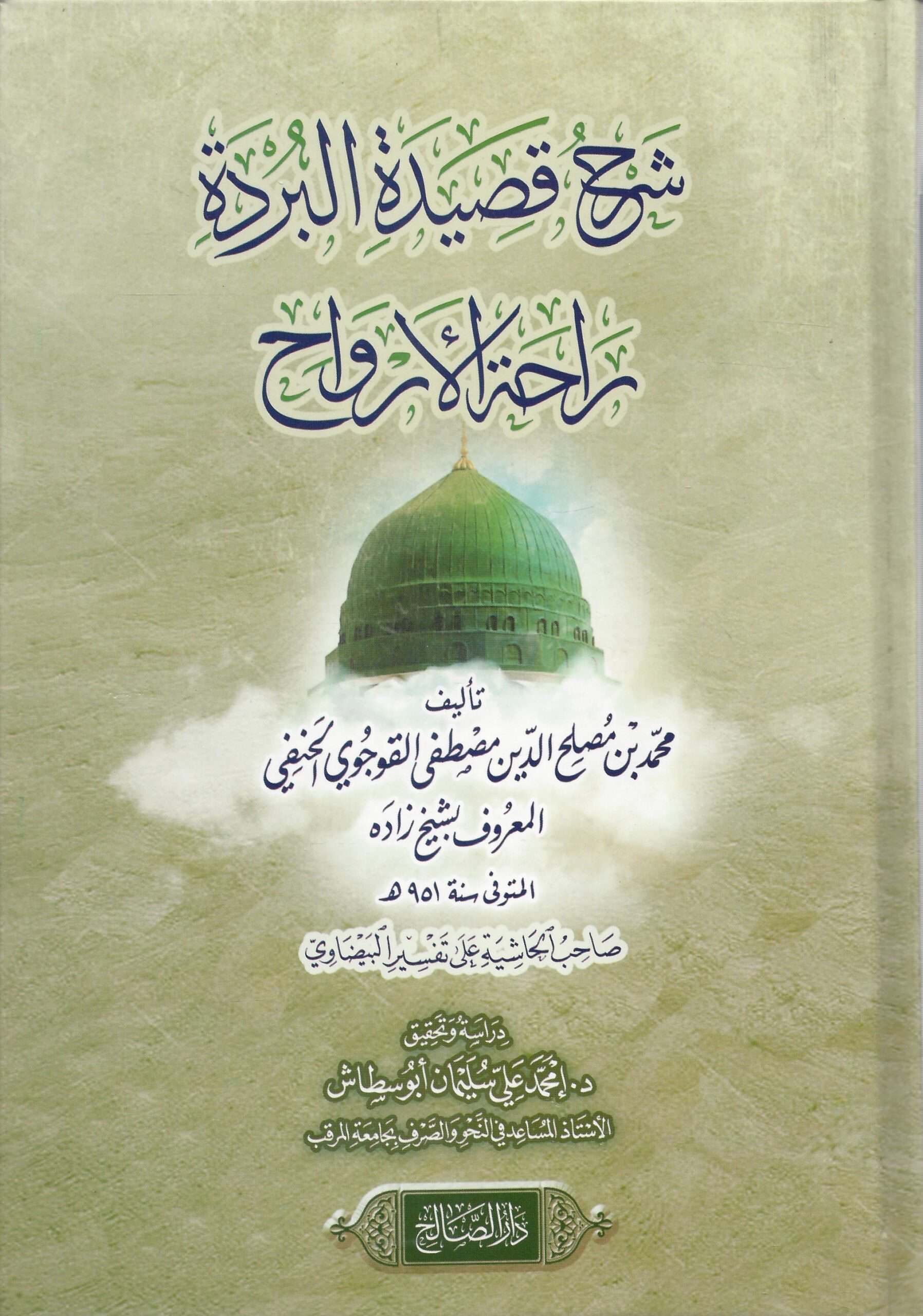 صورة رئيسية